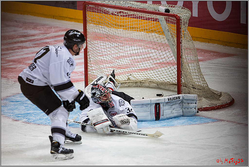 Koelner Haie - Nuernberger Ice Tiger, 04.12.2016